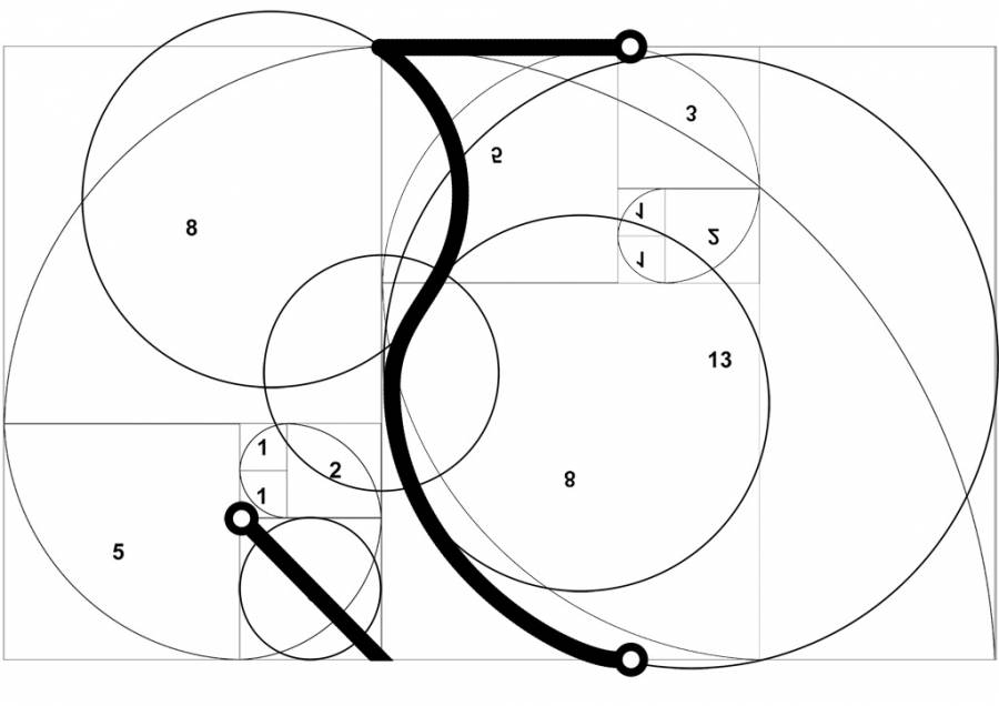 cuia-fibonacci.jpg
